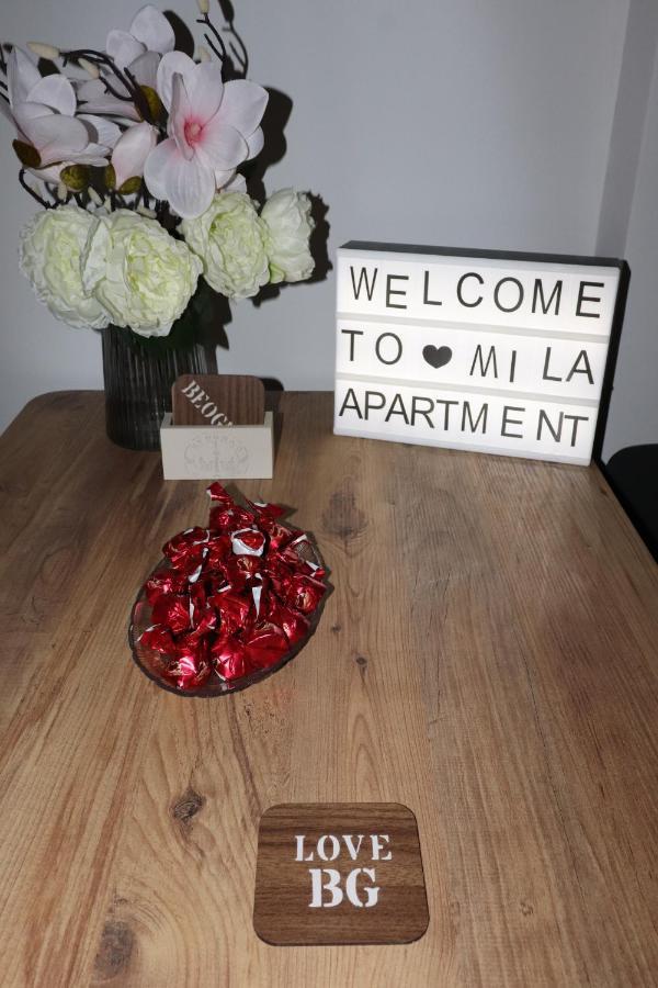 Apartman Mila 21 Belgrado Buitenkant foto